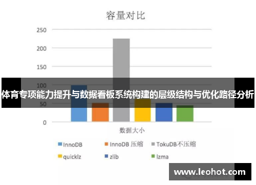 体育专项能力提升与数据看板系统构建的层级结构与优化路径分析